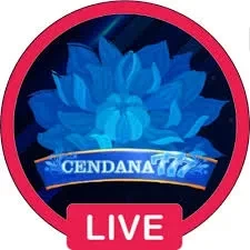 Aplikasi cendana777 Resmi dan Terpercaya di Android dan bandarcolok: Rangkuman Brand yang Banyak Dicari